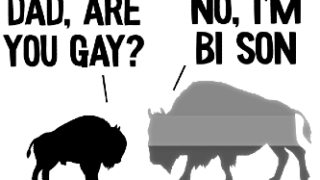 Bisexual jokes – funny jokes on bisexuality